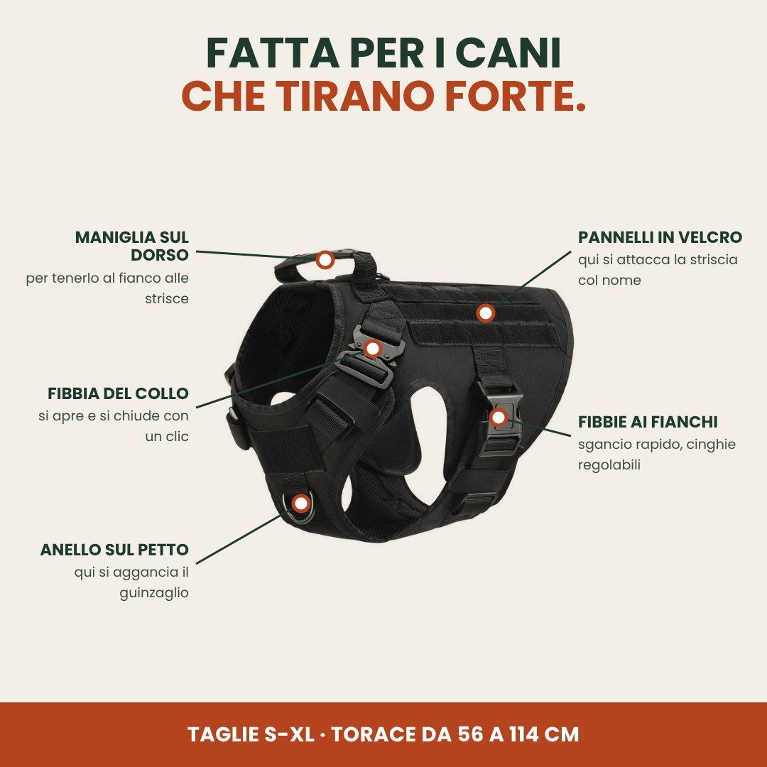 La pettorina tattica con le sue parti: anello sul petto, maniglia sul dorso, pannelli in velcro, fibbia del collo, fibbie ai fianchi