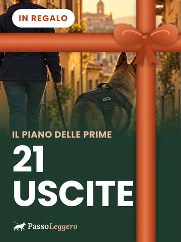 Copertina della guida Il piano delle prime 21 uscite